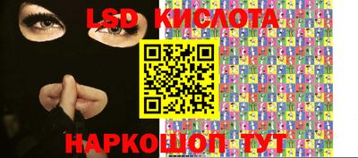 стафф Донецк