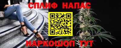 стафф Донецк