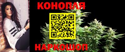 стафф Донецк