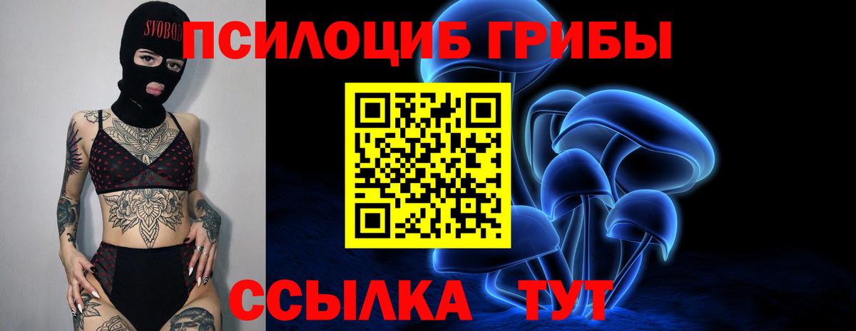 Псилоцибиновые грибы MAGIC MUSHROOMS  Вход с VPN  Новочебоксарск 